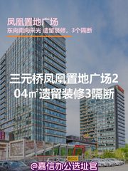 三元桥凤凰置地广场204㎡遗留装修3隔断 - 缩略图 1