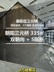 推荐凤凰置地广场335㎡遗留装修 - 缩略图 1