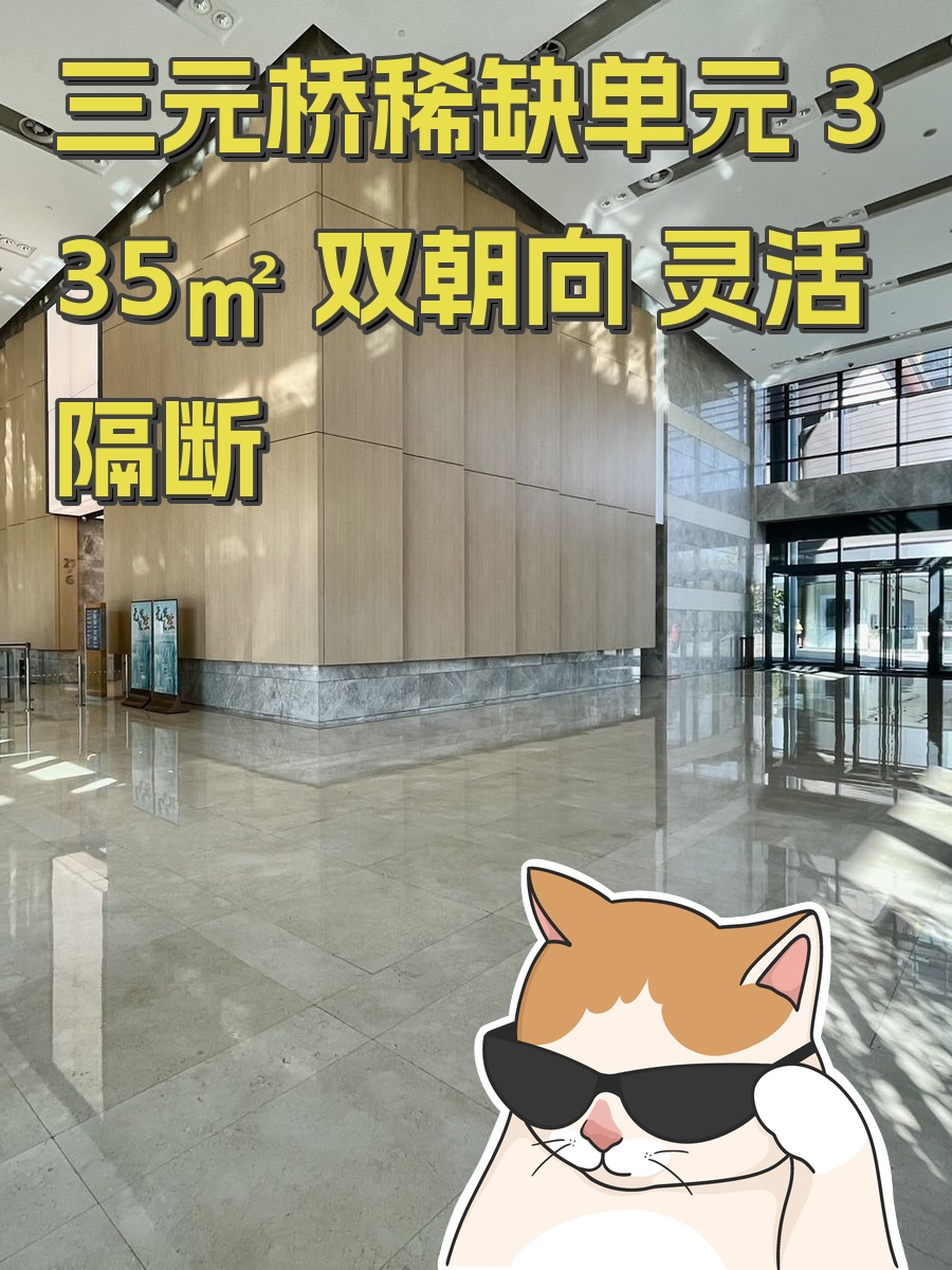 三元桥稀缺单元 335㎡ 双朝向 灵活隔断