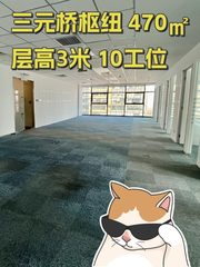 三元桥枢纽 470㎡层高3米 10工位 - 缩略图 1