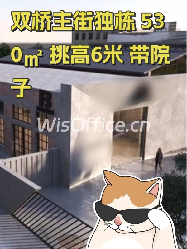 双桥主街独栋 530㎡ 挑高6米 带院子 - 首图