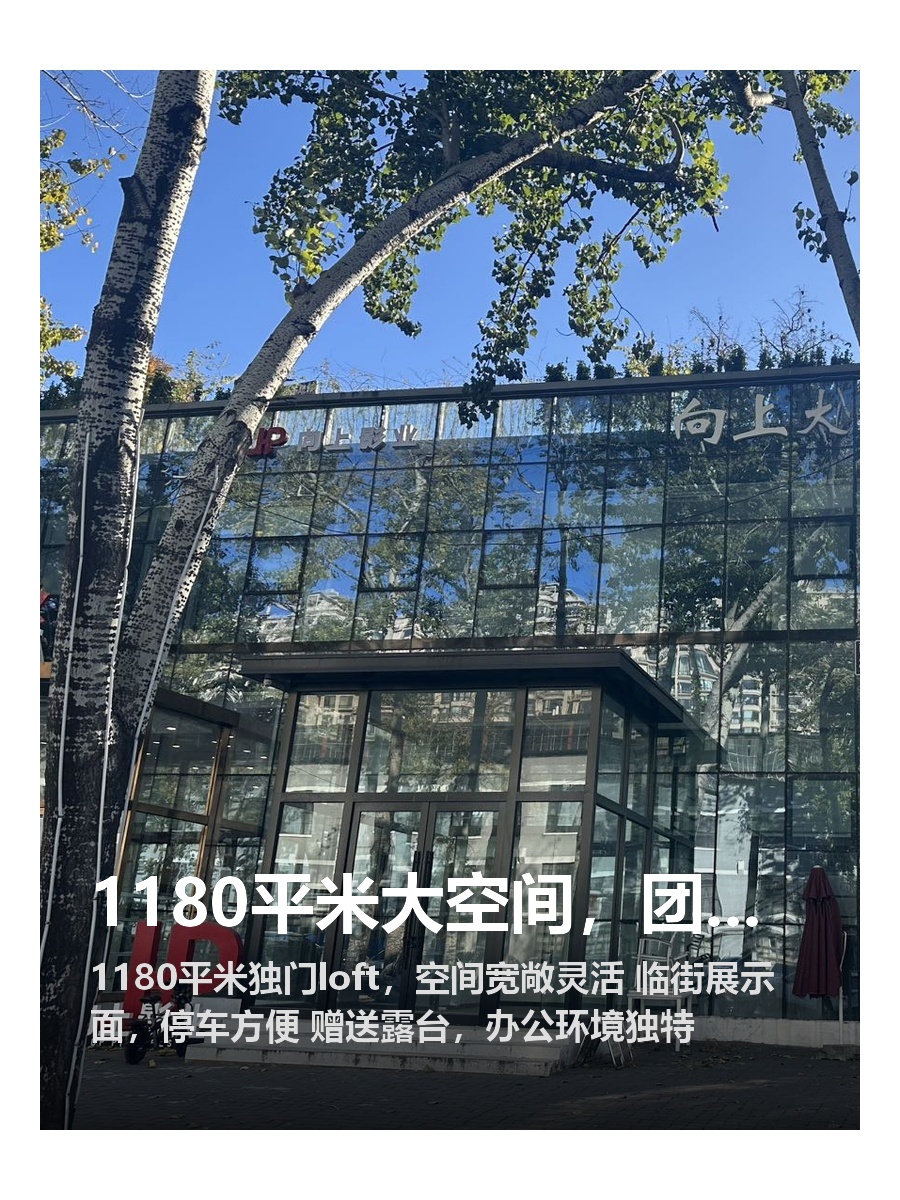 1180平米大空间，团队扩容不愁