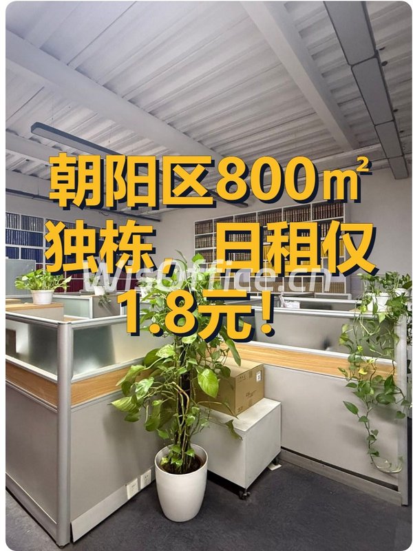 朝阳区800㎡独栋，日租仅1.8元！ - 首图