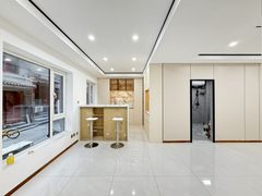 南岸一号500平 双地铁 全新装修带家具 - 缩略图 2