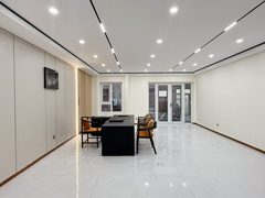 南岸一号500平 双地铁 全新装修带家具 - 缩略图 4