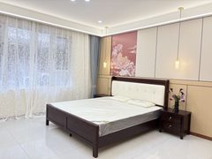 南岸一号500平 双地铁 全新装修带家具 - 缩略图 17