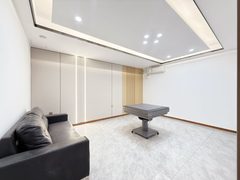 南岸一号500平 双地铁 全新装修带家具 - 缩略图 21