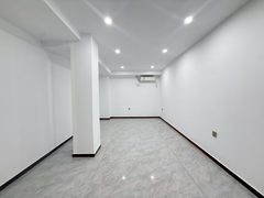 南岸一号500平 双地铁 全新装修带家具 - 缩略图 24