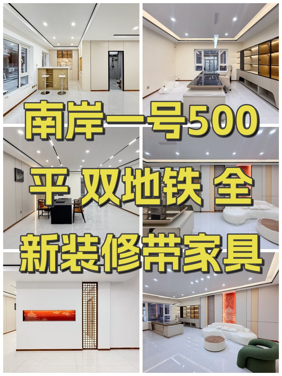南岸一号500平 双地铁 全新装修带家具