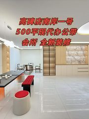 南岸一号500平现代办公带会所 - 缩略图 1