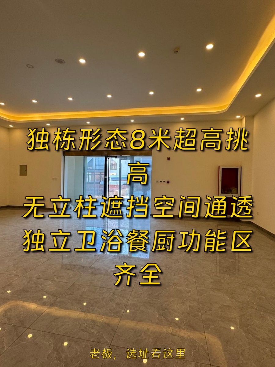 双树云产业园200平独栋8米挑高 精装拎包