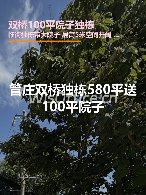 双桥100平院子独栋580㎡实景图