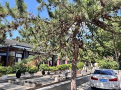 双桥2049独栋文创园，300平院落 - 缩略图 4