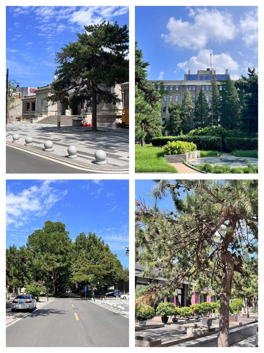 创意圈疯抢！百年苏式独栋带大院办公