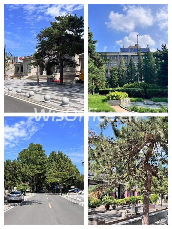 创意圈疯抢！百年苏式独栋带大院办公 - 首图