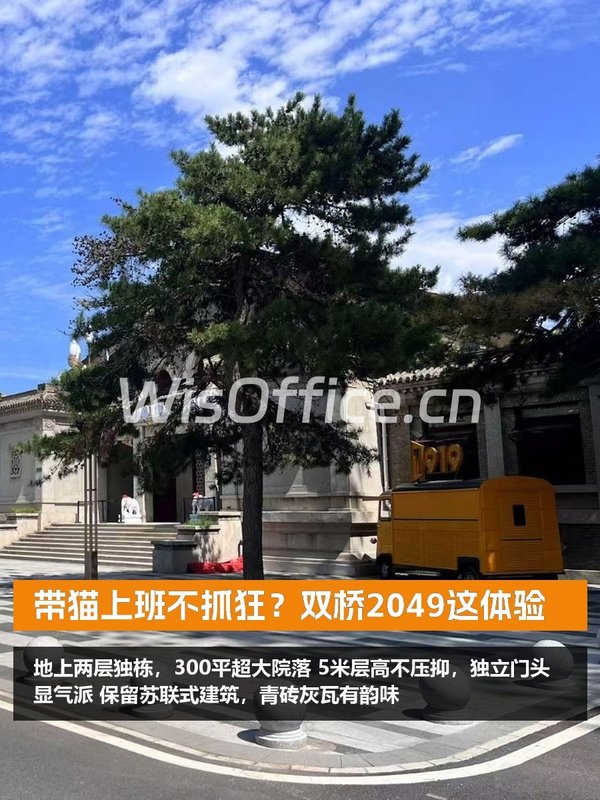 带猫上班不抓狂？双桥2049这体验 - 首图