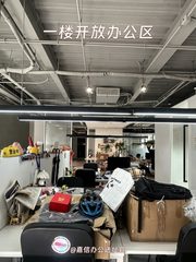 双桥独栋500平 环绕花园260露台 - 缩略图 6