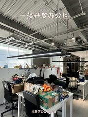 双桥独栋500平 环绕花园260露台 - 缩略图 7