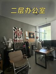 双桥独栋500平带260米露台 - 缩略图 19