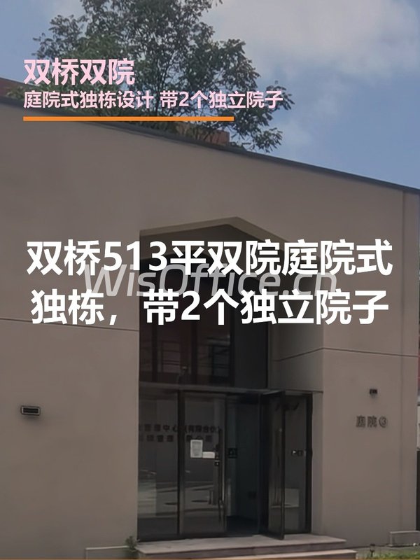 双桥双院独栋513平 遗留装修 - 首图