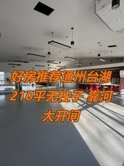好房推荐 210平靠河大开间 - 缩略图 1