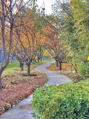 朝阳传媒大学 吉里国际艺术区 430㎡复式独栋 - 缩略图 14