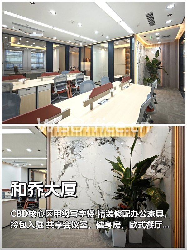 推荐和乔大厦CBD精装修185平 - 首图