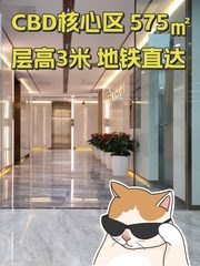 CBD核心区 575㎡ 层高3米 地铁直达 - 缩略图 1