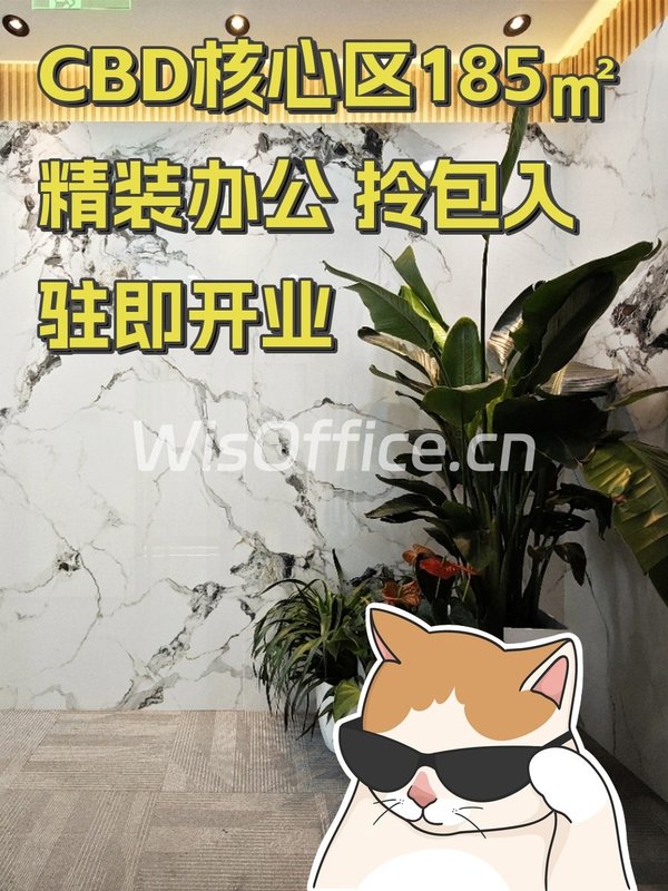 CBD核心区185㎡精装办公 拎包入驻即开业 - 首图