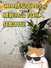 CBD核心区185㎡精装办公 拎包入驻即开业 - 缩略图 1