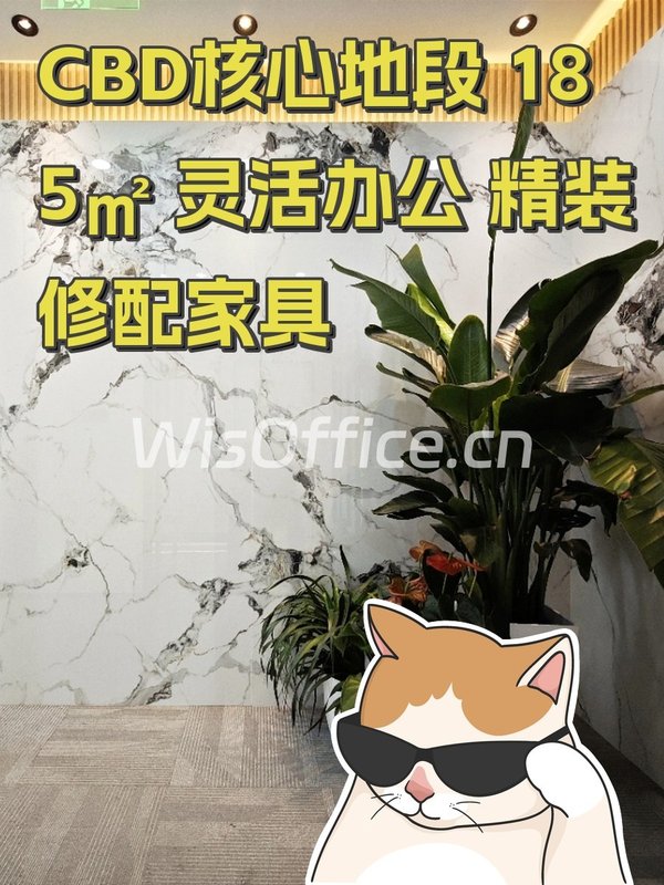 CBD核心地段 185㎡ 灵活办公 精装修配家具 - 首图