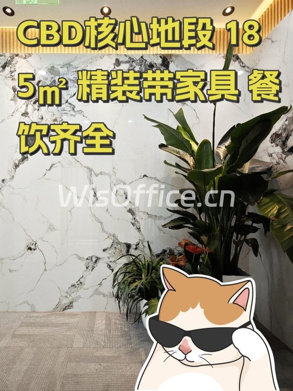 CBD核心地段 185㎡ 精装带家具 餐饮齐全 - 首图