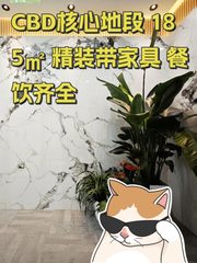 CBD核心地段 185㎡ 精装带家具 餐饮齐全 - 缩略图 1