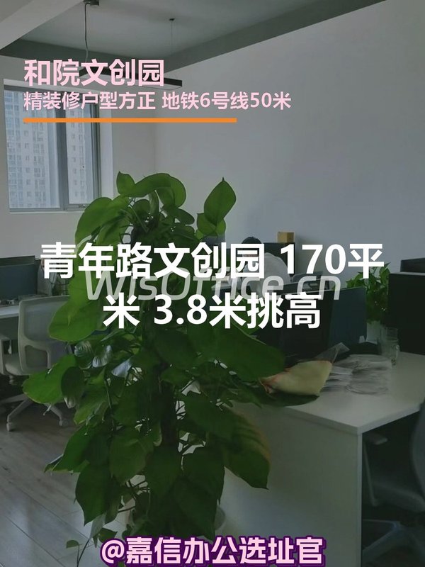 青年路文创园 170平米 3.8米挑高 - 首图