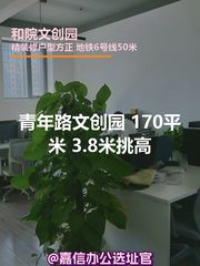 青年路文创园 170平米 3.8米挑高 - 缩略图 1