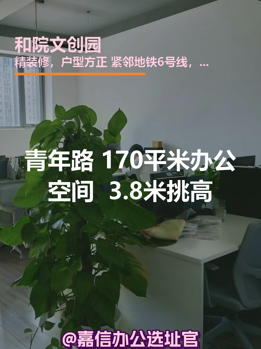青年路独栋 170平米 3.8米挑高