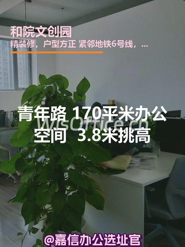 青年路独栋 170平米 3.8米挑高 - 首图