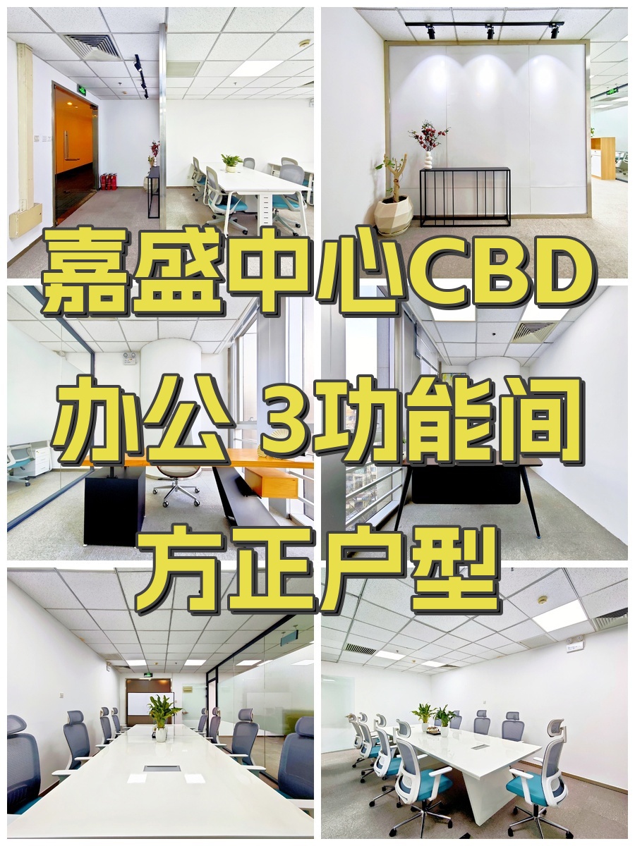 嘉盛中心CBD办公 3功能间方正户型