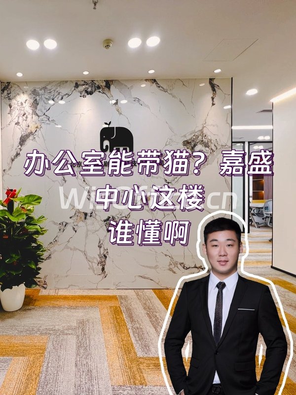 办公室能带猫？嘉盛中心这楼谁懂啊 - 首图