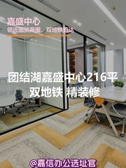 嘉盛中心216平 双地铁 精装修 - 缩略图 1