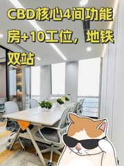 CBD核心4间功能房+10工位，地铁双站 - 缩略图 1