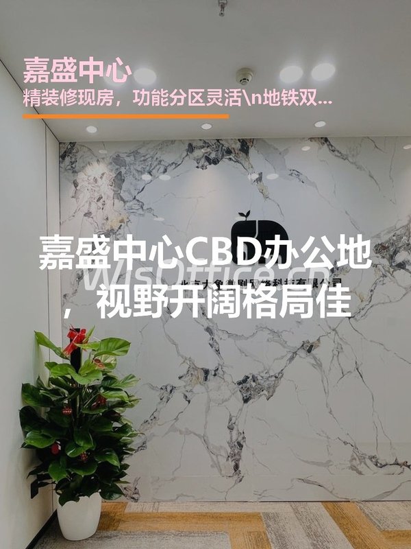 嘉盛中心CBD办公地，视野开阔格局佳 - 首图