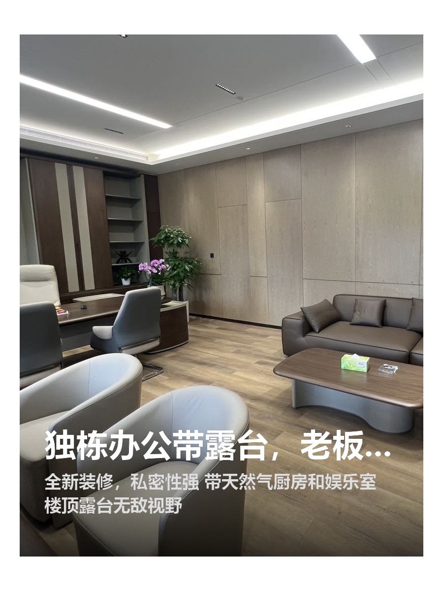 独栋办公带露台，老板必看！