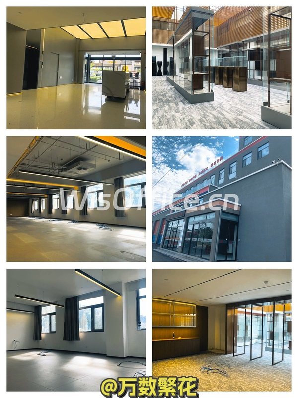 四惠独栋4000平 精装拎包 空中花园 - 首图