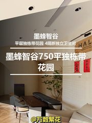 墨蜂智谷750平独栋带花园 - 缩略图 1