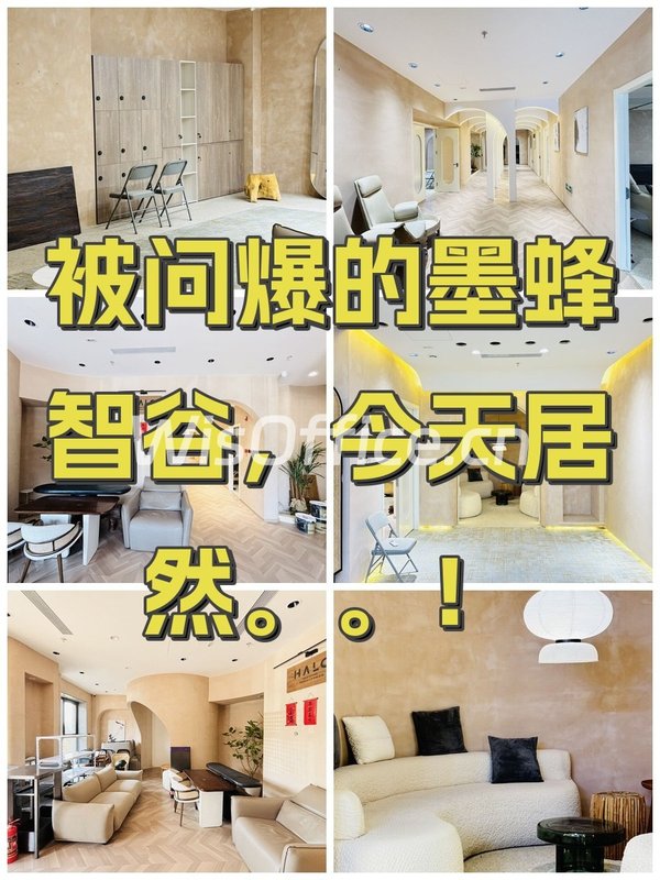 被问爆的墨蜂智谷，今天居然。。！ - 首图