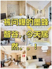 被问爆的墨蜂智谷，今天居然。。！ - 缩略图 1