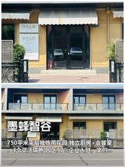 错过独栋花园，品牌形象每年少百万 - 缩略图 1