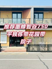 推荐墨蜂智谷750平独栋带花园 - 缩略图 1