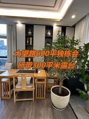 大望路600平独栋会所带露台 - 缩略图 1